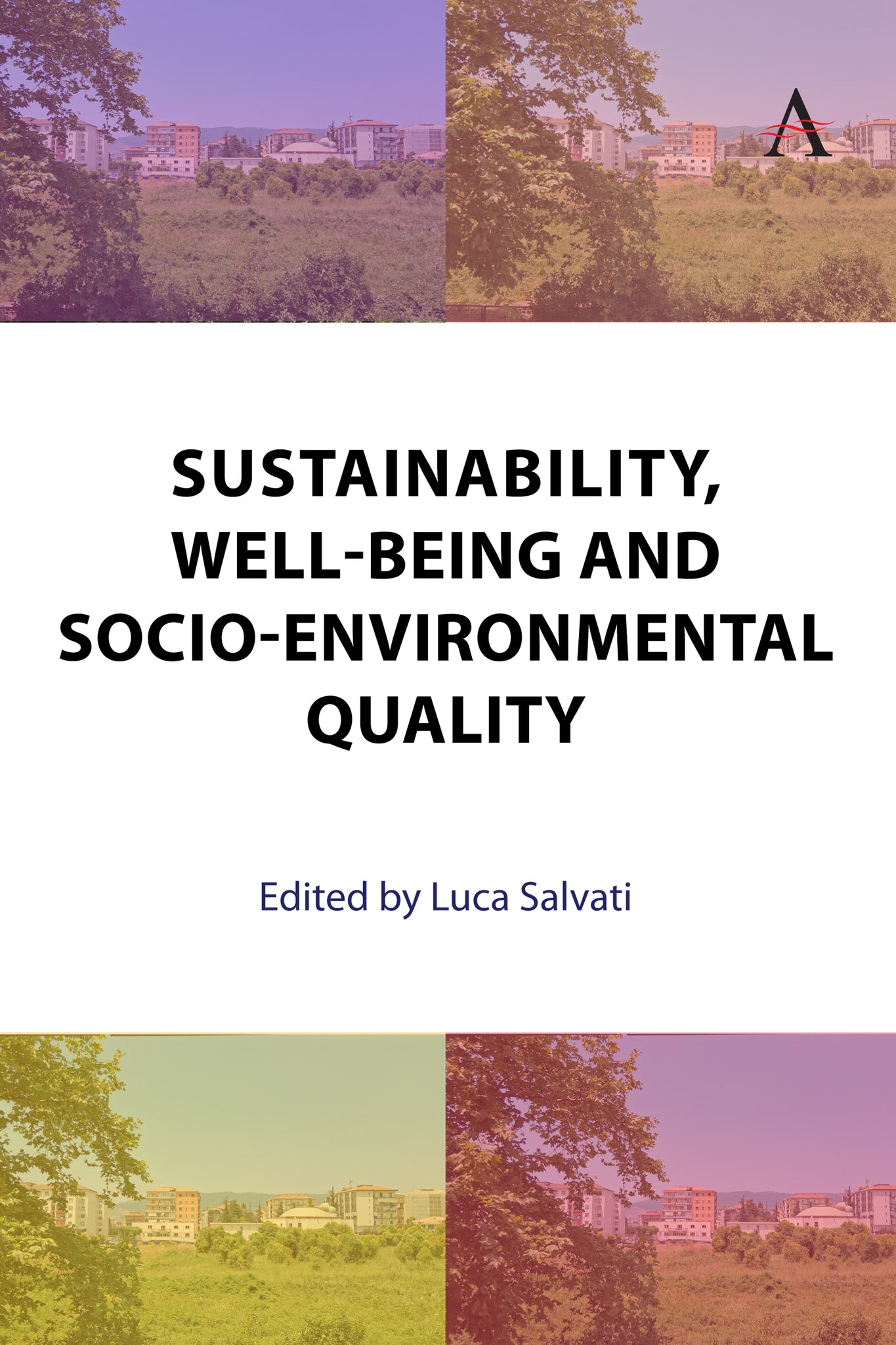 Cover image for Sustainability, Well-Being and Socio-Environmental Quality ISBN 9781839998751